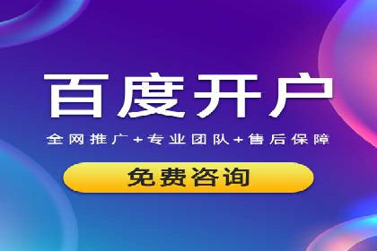百度竞价排名实战：某电商平台的成功之路
